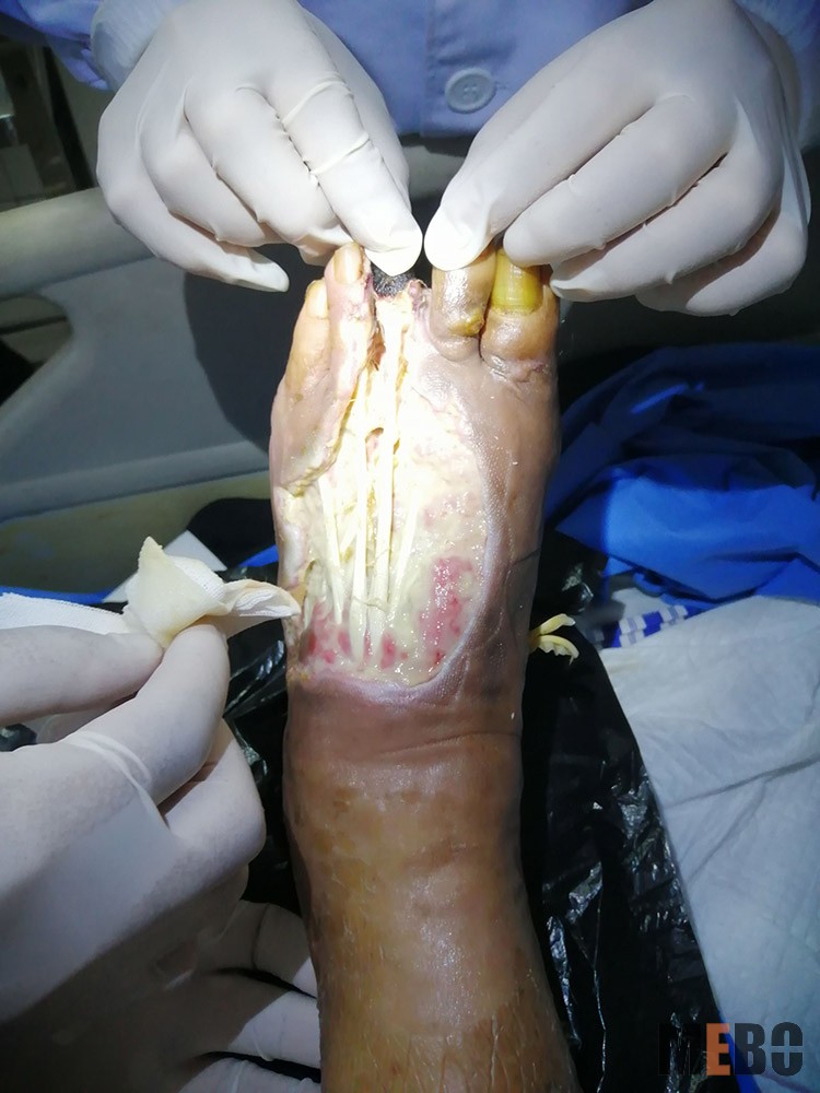 ����˹����ᡤ(�й�)����