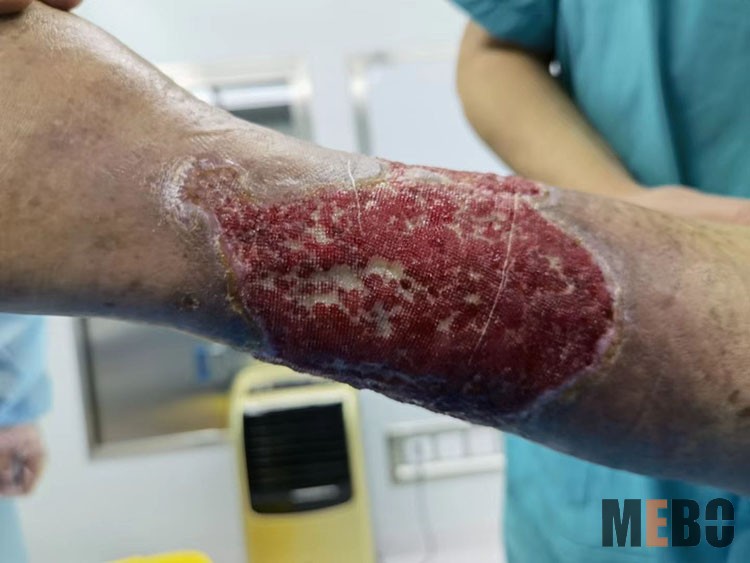 ����˹����ᡤ(�й�)����