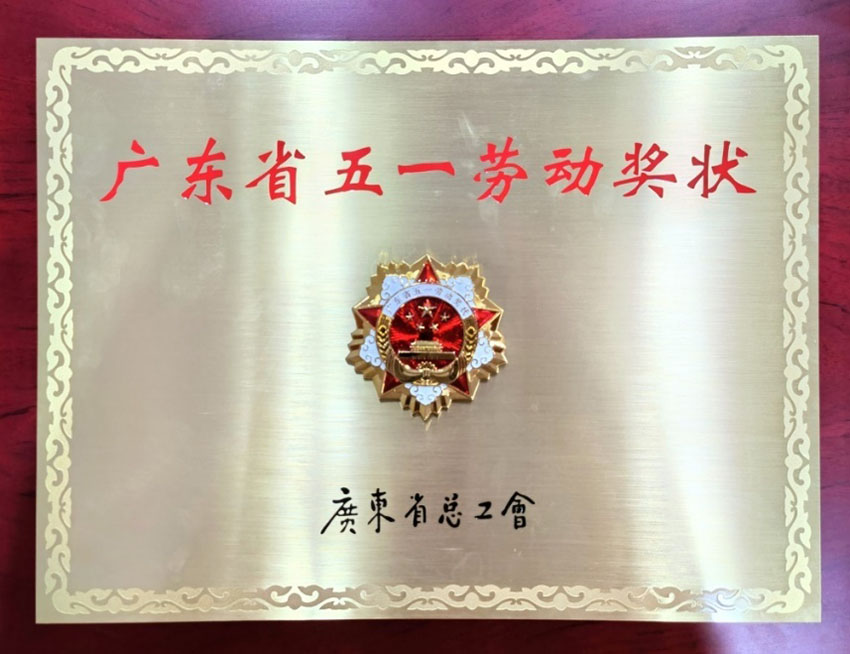 俄罗斯贵宾会·(中国)集团