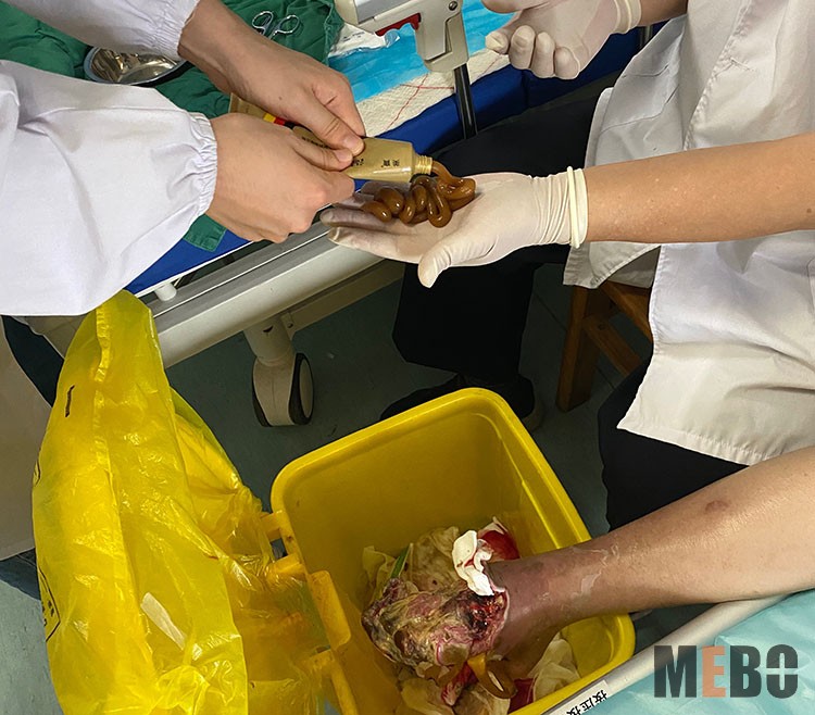 ����˹����ᡤ(�й�)����