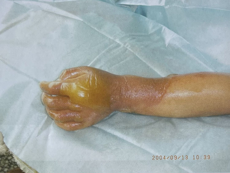 俄罗斯贵宾会·(中国)集团