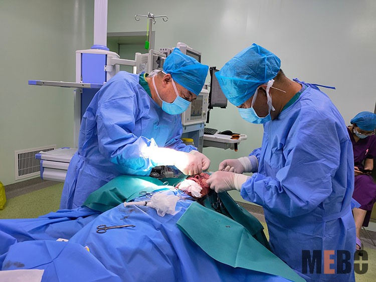 ����˹����ᡤ(�й�)����