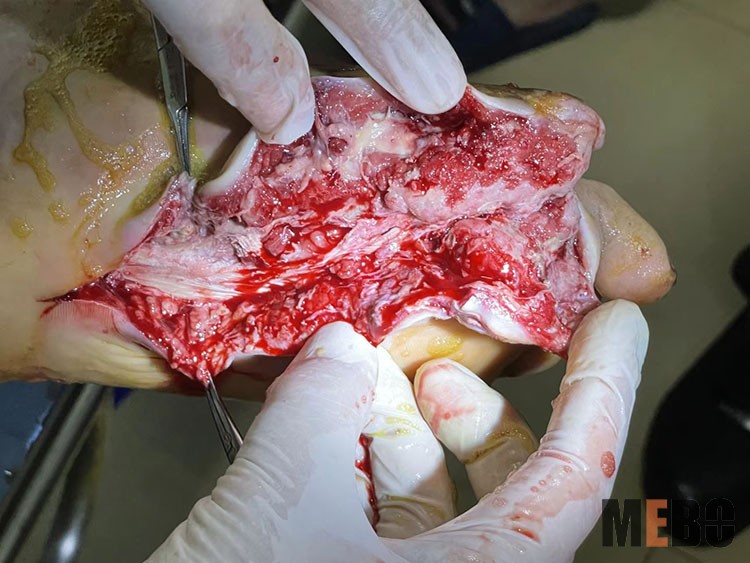 ����˹����ᡤ(�й�)����