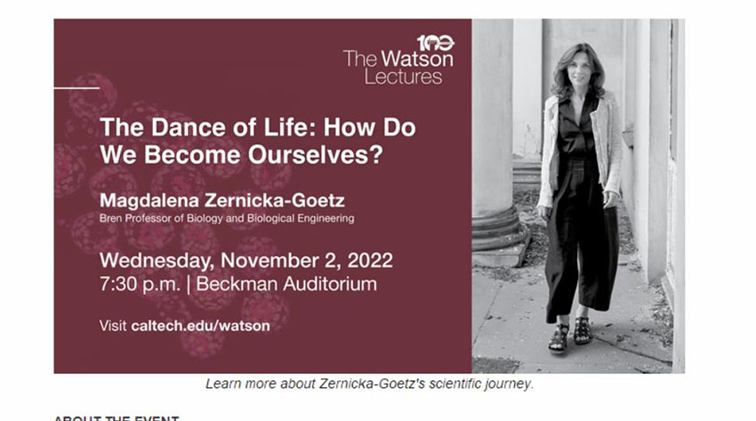 ����˹����ᡤ(�й�)����