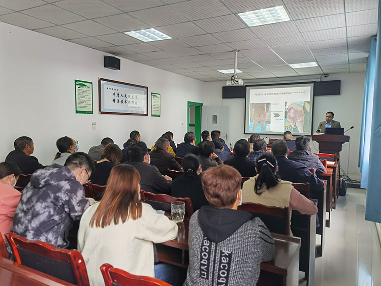 ����˹����ᡤ(�й�)����