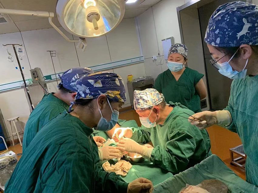 ����˹����ᡤ(�й�)����