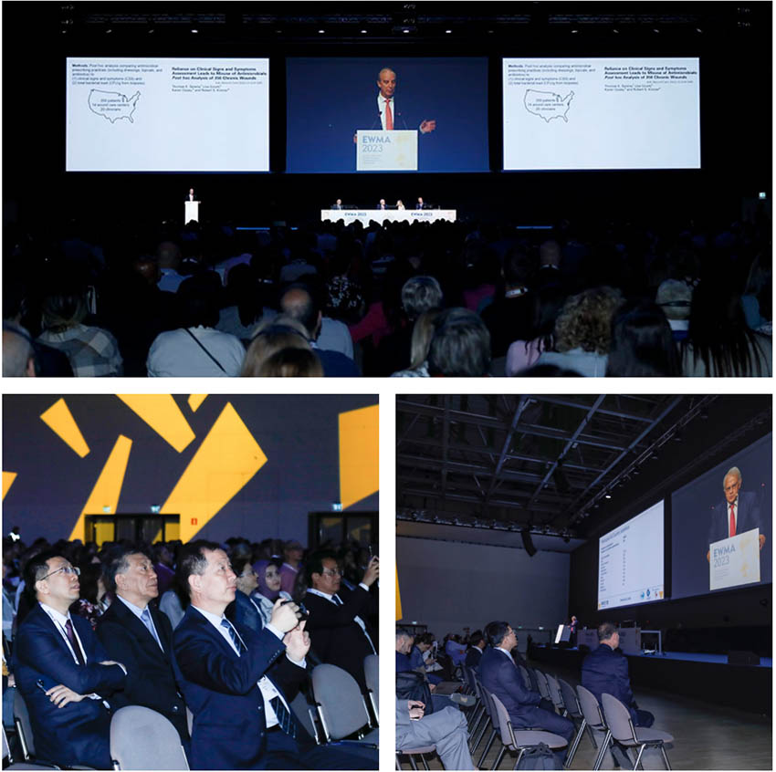 俄罗斯贵宾会·(中国)集团