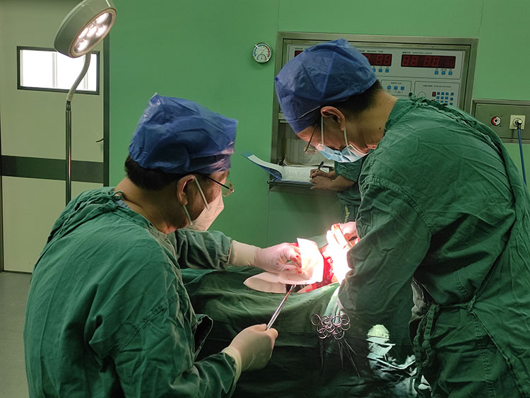 ����˹����ᡤ(�й�)����