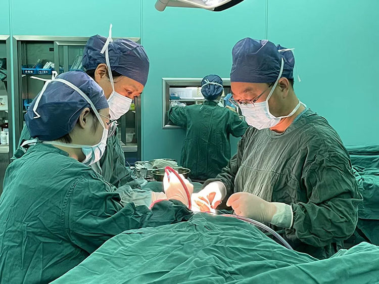 ����˹����ᡤ(�й�)����