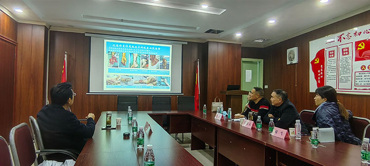 ����˹����ᡤ(�й�)����