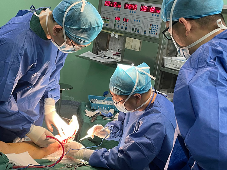 ����˹����ᡤ(�й�)����