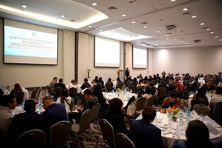 俄罗斯贵宾会·(中国)集团