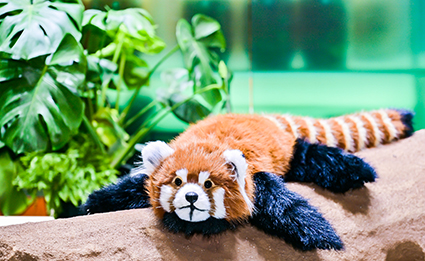 俄罗斯贵宾会·(中国)集团