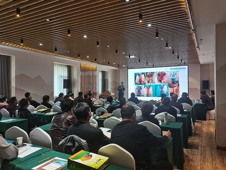 ����˹����ᡤ(�й�)����