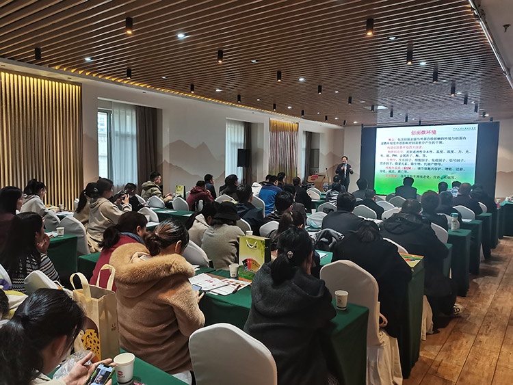 ����˹����ᡤ(�й�)����