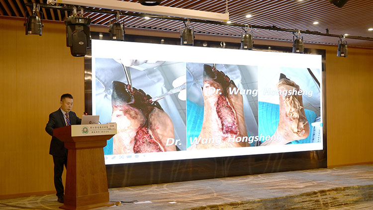 俄罗斯贵宾会·(中国)集团