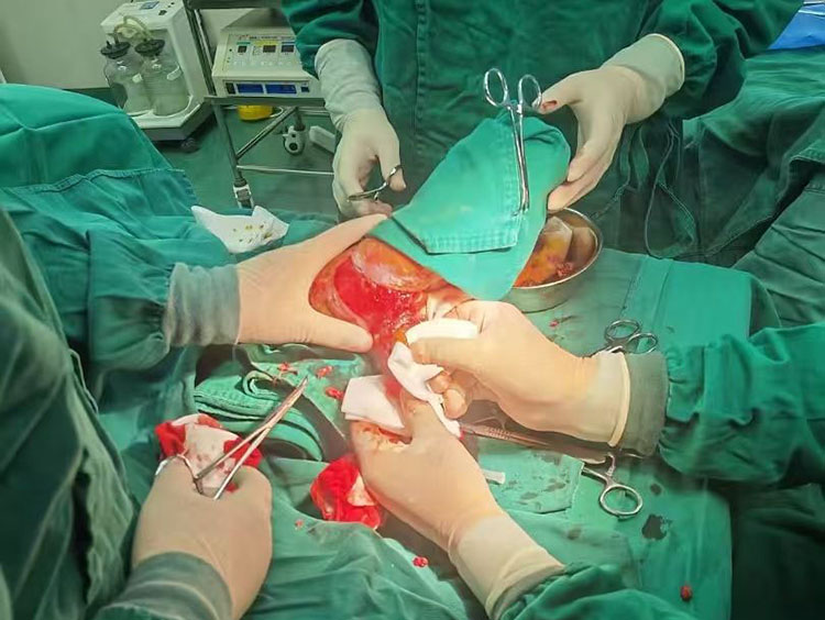 俄罗斯贵宾会·(中国)集团