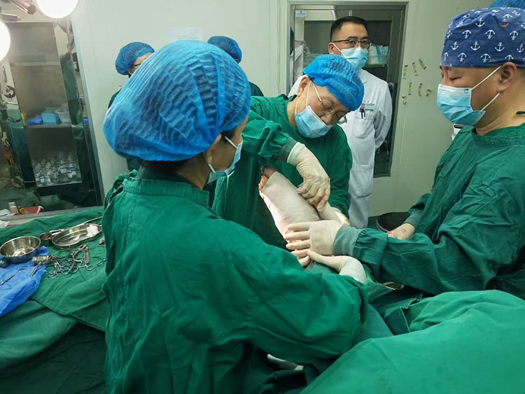 俄罗斯贵宾会·(中国)集团