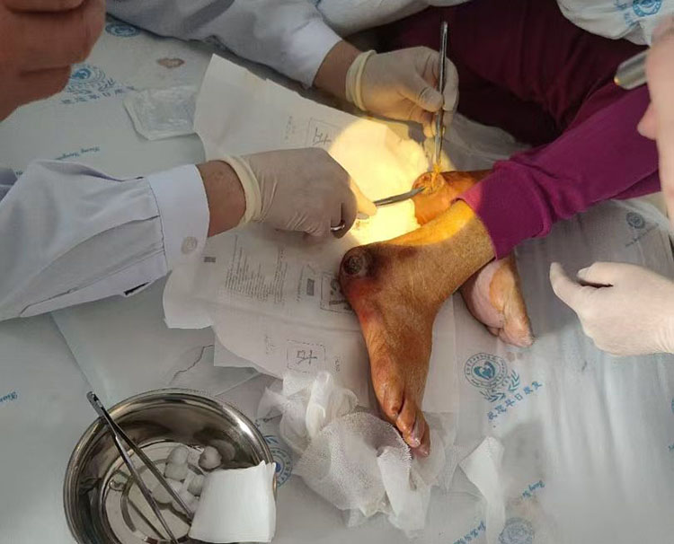 俄罗斯贵宾会·(中国)集团