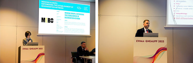 ����˹����ᡤ(�й�)����