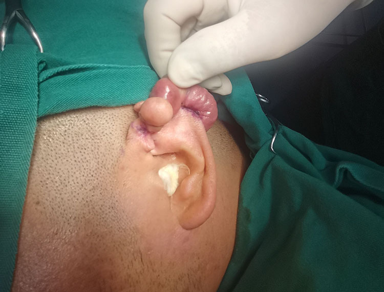 ����˹����ᡤ(�й�)����