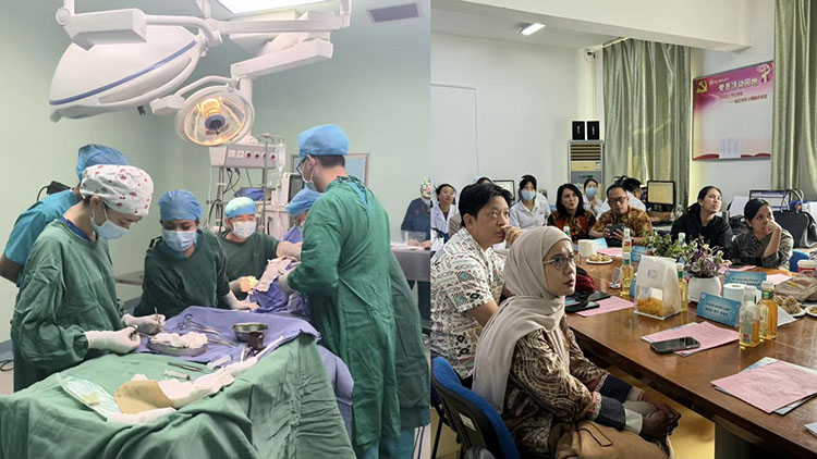 ����˹����ᡤ(�й�)����