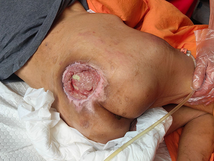 俄罗斯贵宾会·(中国)集团