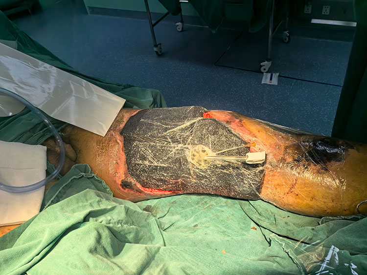 俄罗斯贵宾会·(中国)集团