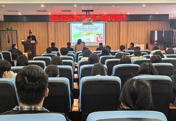 ����˹����ᡤ(�й�)����