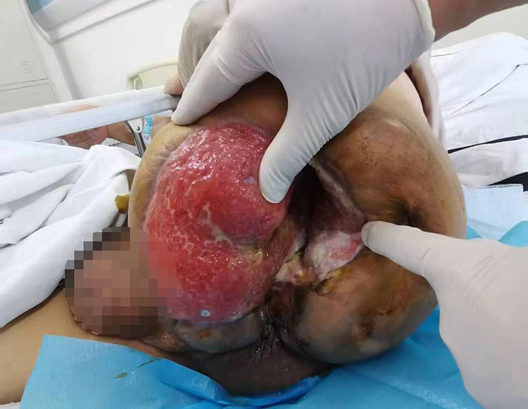 ����˹����ᡤ(�й�)����