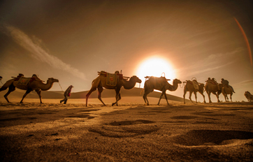 俄罗斯贵宾会集团国际 “一带一路”建议培训平台