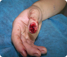 俄罗斯贵宾会·(中国)集团