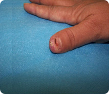 俄罗斯贵宾会·(中国)集团