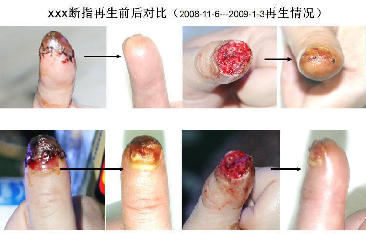 ����˹����ᡤ(�й�)����