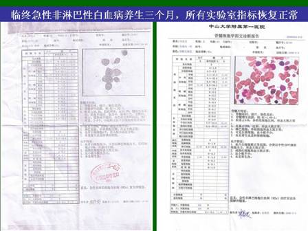 ����˹����ᡤ(�й�)����