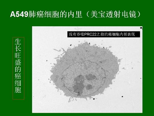 ����˹����ᡤ(�й�)����