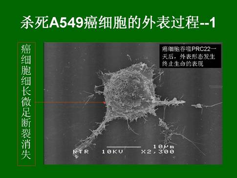 ����˹����ᡤ(�й�)����