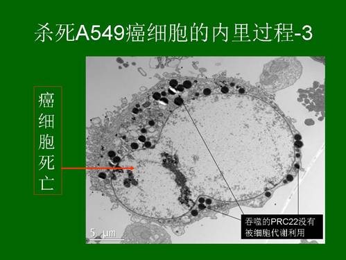 ����˹����ᡤ(�й�)����