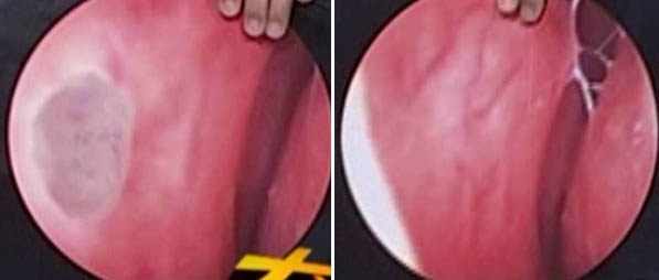 ����˹����ᡤ(�й�)����