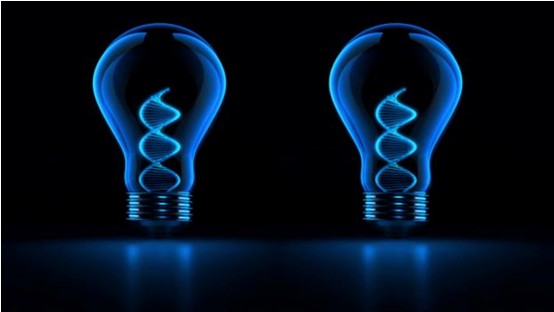 ����˹����ᡤ(�й�)����