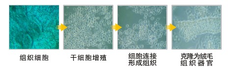 ����˹����ᡤ(�й�)����