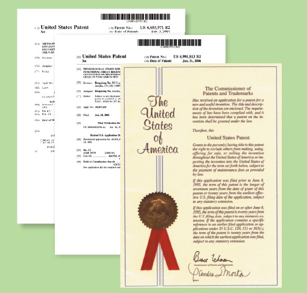 ����˹����ᡤ(�й�)����