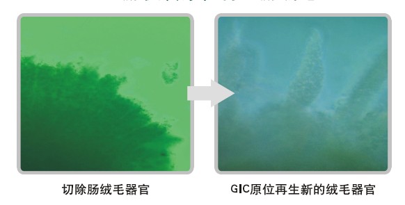 ����˹����ᡤ(�й�)����