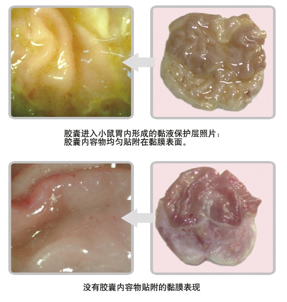 ����˹����ᡤ(�й�)����