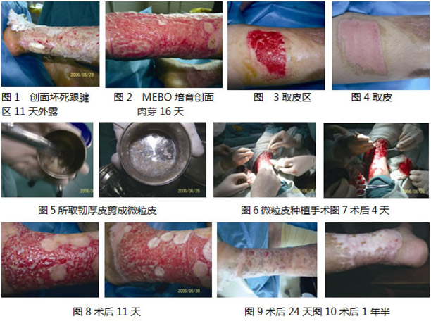 ����˹����ᡤ(�й�)����