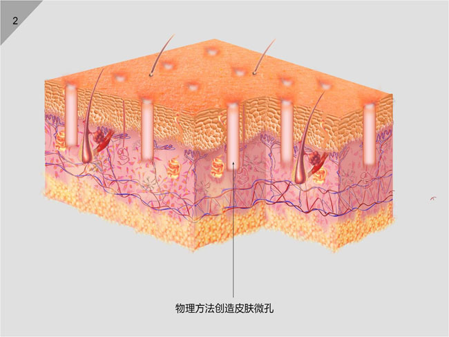 ����˹����ᡤ(�й�)����