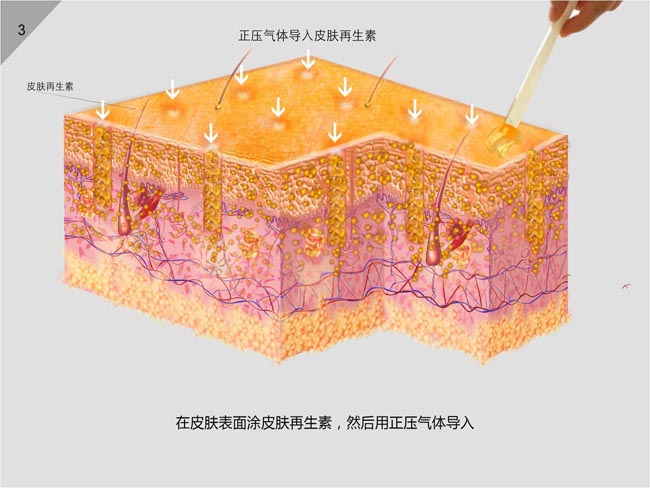 ����˹����ᡤ(�й�)����