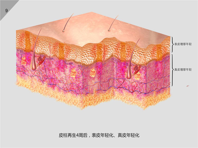 ����˹����ᡤ(�й�)����