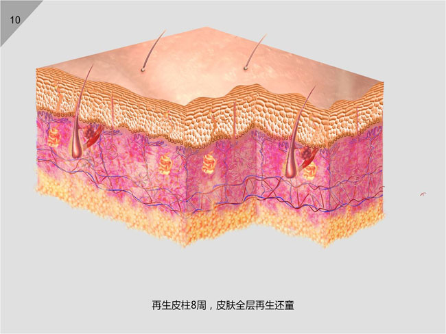 ����˹����ᡤ(�й�)����