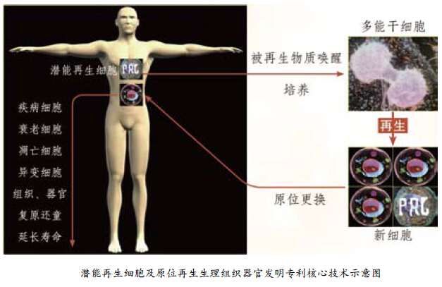 ����˹����ᡤ(�й�)����